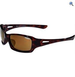 Sinner Mute Sunglasses (PC Gold/Tortoise) - Colour: Tortoise